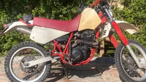 Yamaha   (3)