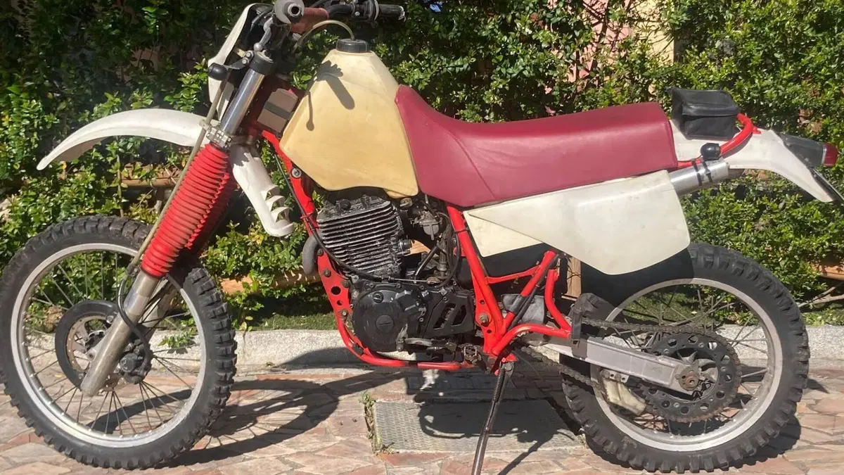 Yamaha   (4)