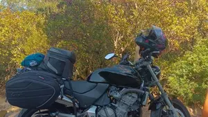 Honda Hornet 600 (2000 - 02)  (9)