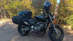 Honda Hornet 600 (2000 - 02)  (11)