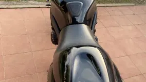 Triumph   (3)