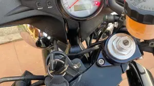 Triumph   (8)