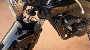 Triumph   (9)