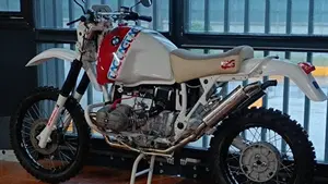 Bmw   (5)