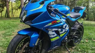 Suzuki GSX-R1000 (2017 - 18) usata