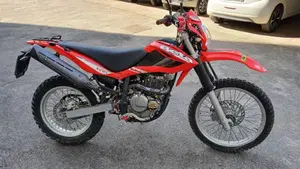 Betamotor Alp 4.0 (2008 - 17) 