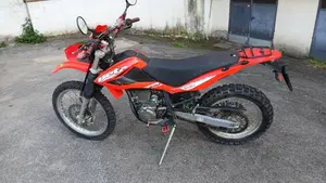 Betamotor Alp 4.0 (2008 - 17)  (2)