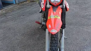 Betamotor Alp 4.0 (2008 - 17)  (3)