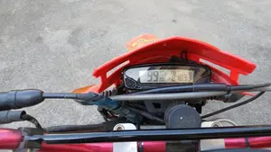Betamotor Alp 4.0 (2008 - 17)  (4)