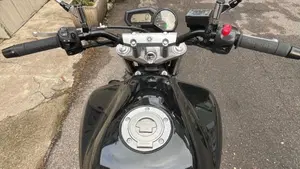 Yamaha FZ6 S2 (2007 - 11)  (5)