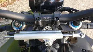 Ducati Streetfighter V4 1100 SP (2022)  (6)