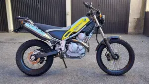 Yamaha Tricker  (2)