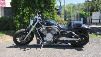 Harley-Davidson 1250 V-Rod (2008 - 12) - VRSCAW usata
