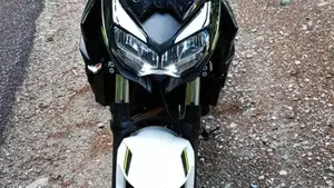 Kawasaki Z 650 (2021 - 24)  (2)