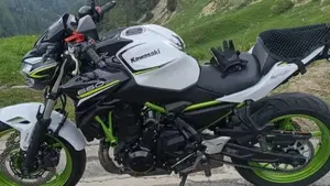 Kawasaki Z 650 (2021 - 24)  (4)