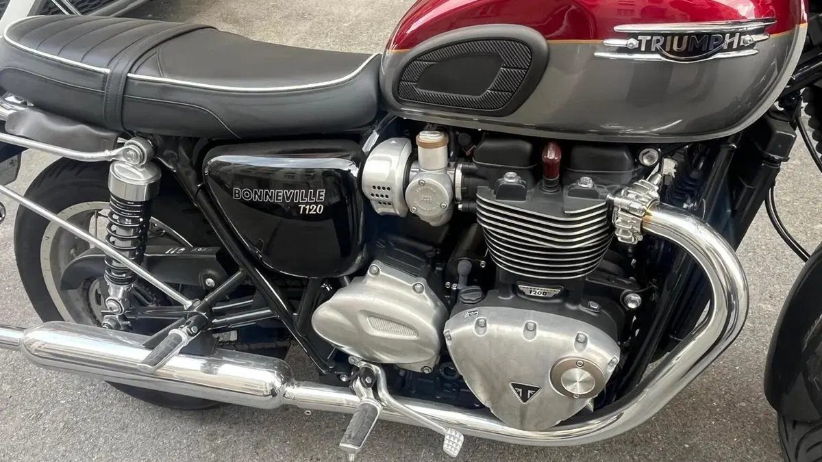 Triumph Bonneville T120 Gold Line Edition (2022 - 23)  (6)