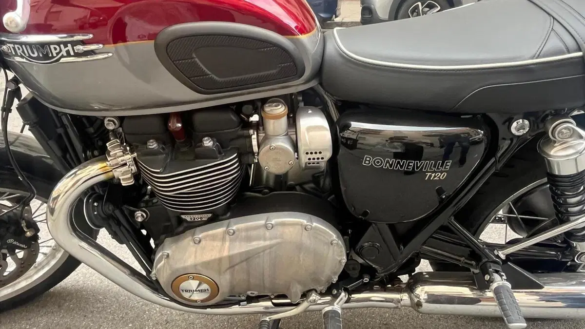 Triumph Bonneville T120 Gold Line Edition (2022 - 23)  (10)