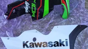 Kawasaki Ninja 1000 ZX-10R (2021 - 25)  (3)
