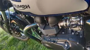 Triumph Bonneville T100 (2008 - 16)  (3)