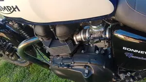 Triumph Bonneville T100 (2008 - 16)  (4)
