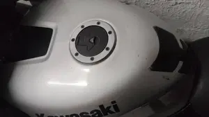 Kawasaki   (7)