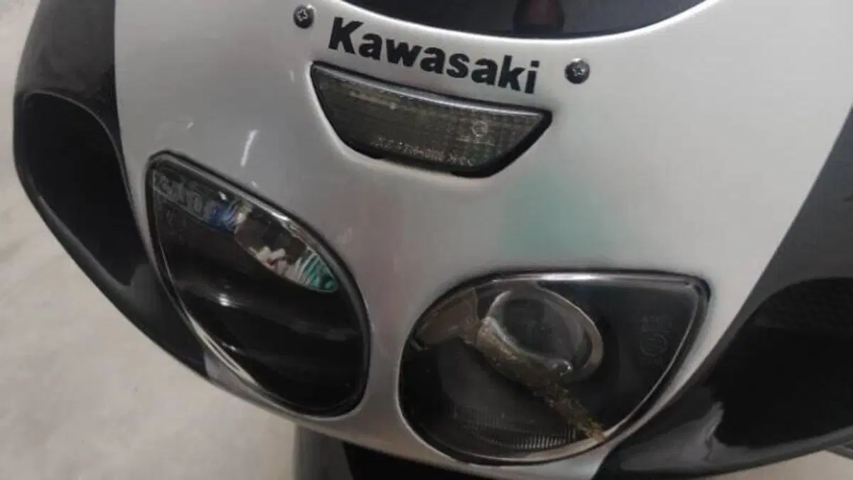 Kawasaki   (13)