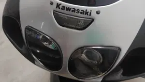 Kawasaki   (13)