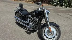Harley-Davidson Fat Boy 114 (2021 - 24)  (11)