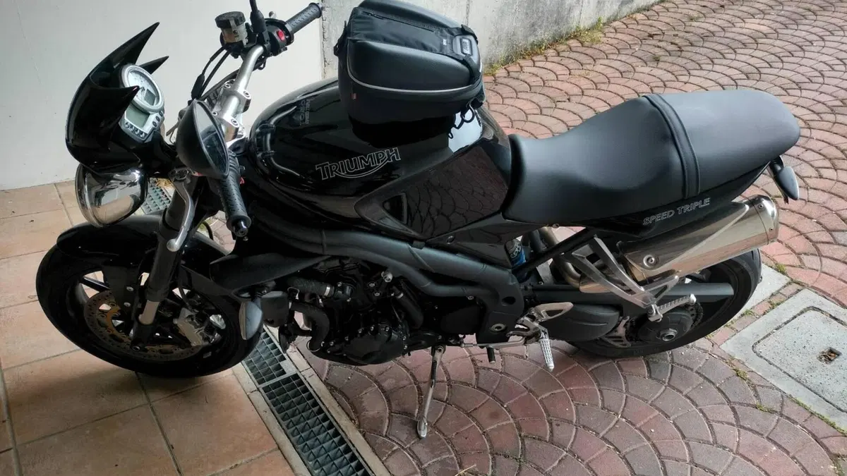Triumph Speed Triple 1050 (2005 - 11) 
