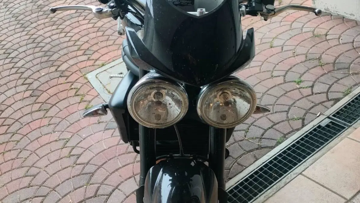 Triumph Speed Triple 1050 (2005 - 11)  (2)