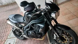 Triumph Speed Triple 1050 (2005 - 11)  (3)
