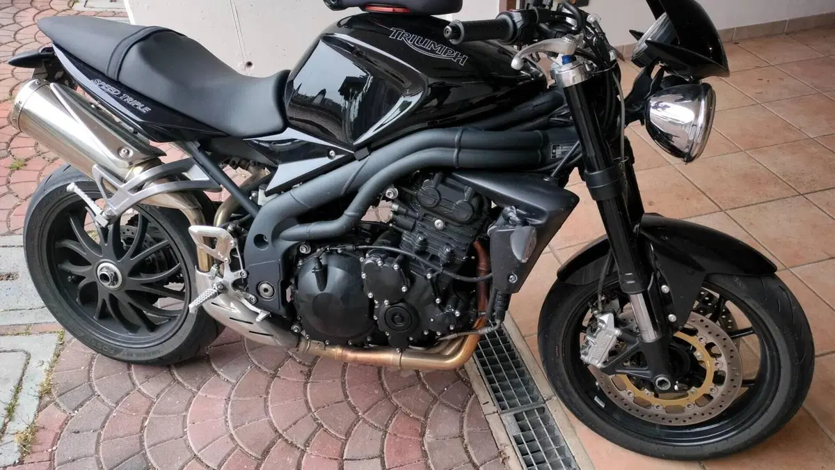 Triumph Speed Triple 1050 (2005 - 11)  (5)