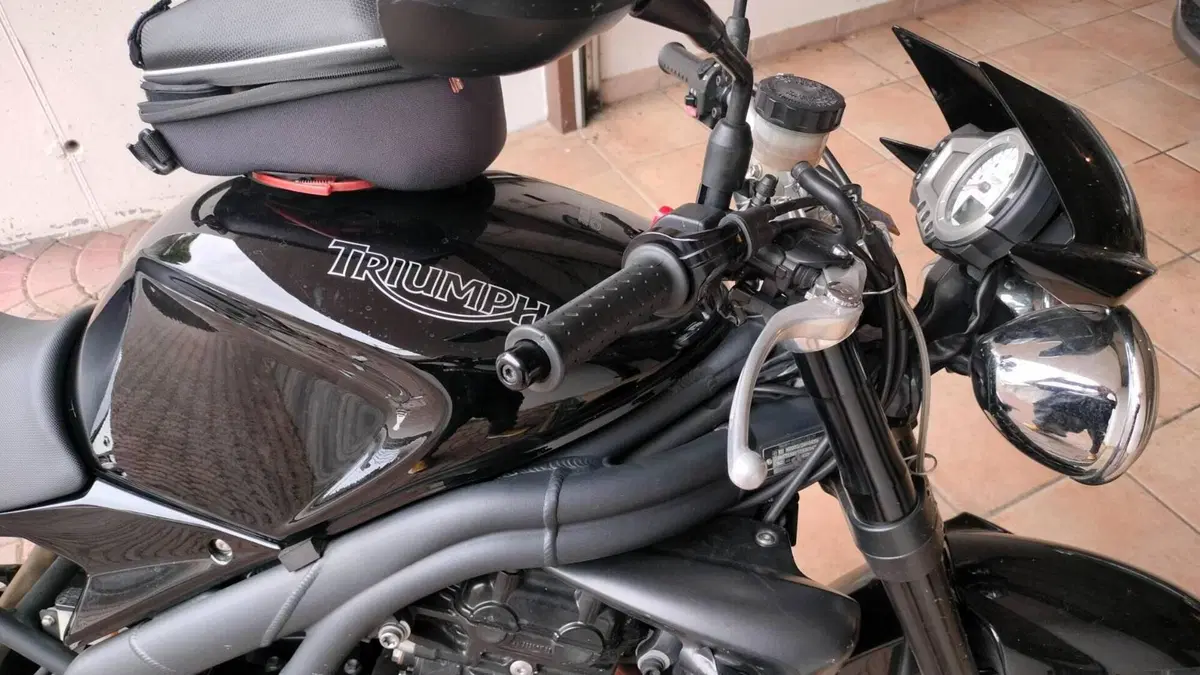 Triumph Speed Triple 1050 (2005 - 11)  (6)