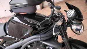 Triumph Speed Triple 1050 (2005 - 11)  (6)