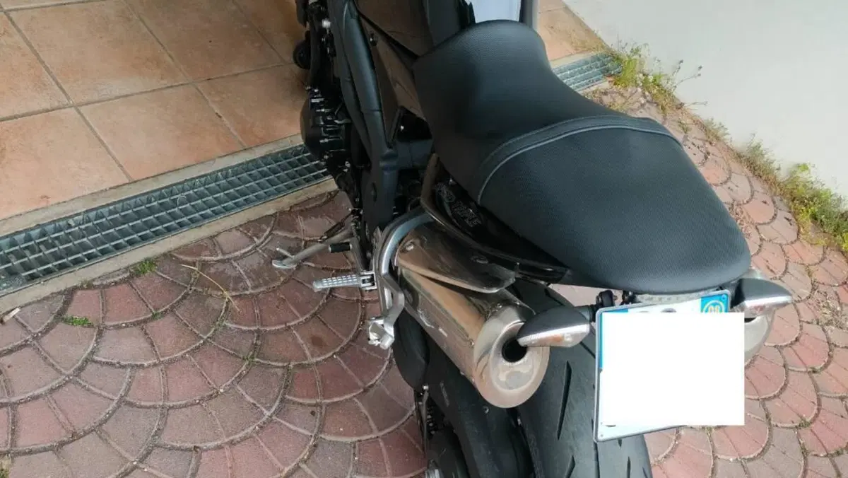 Triumph Speed Triple 1050 (2005 - 11)  (8)