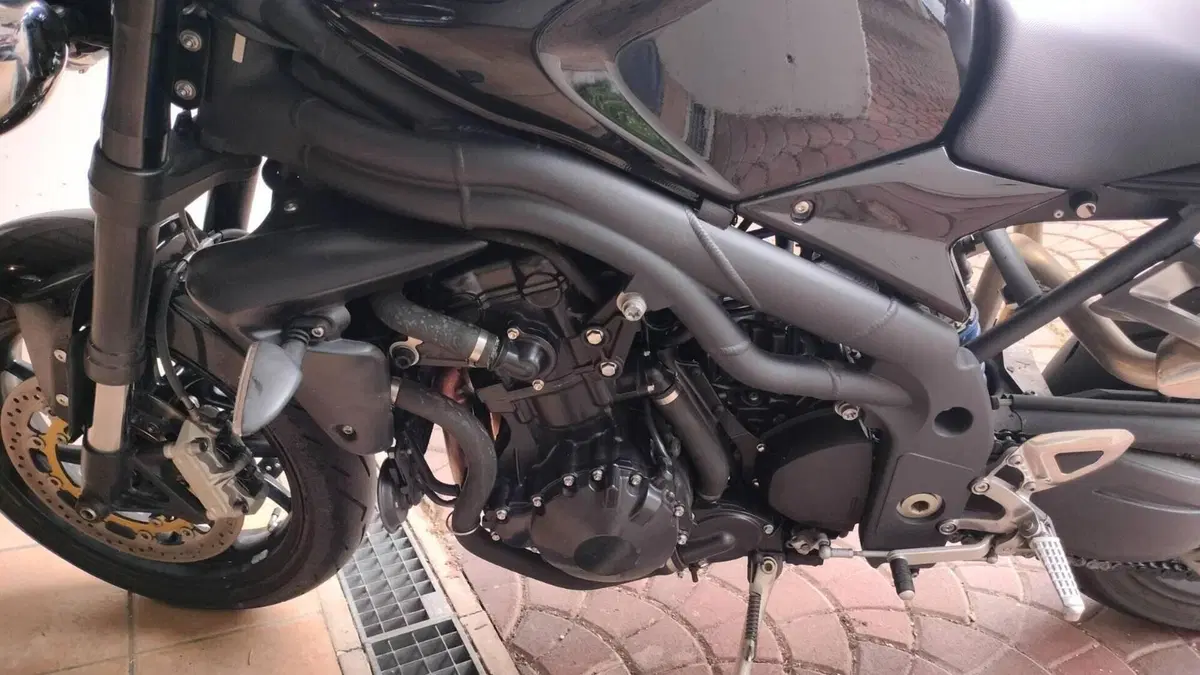 Triumph Speed Triple 1050 (2005 - 11)  (9)
