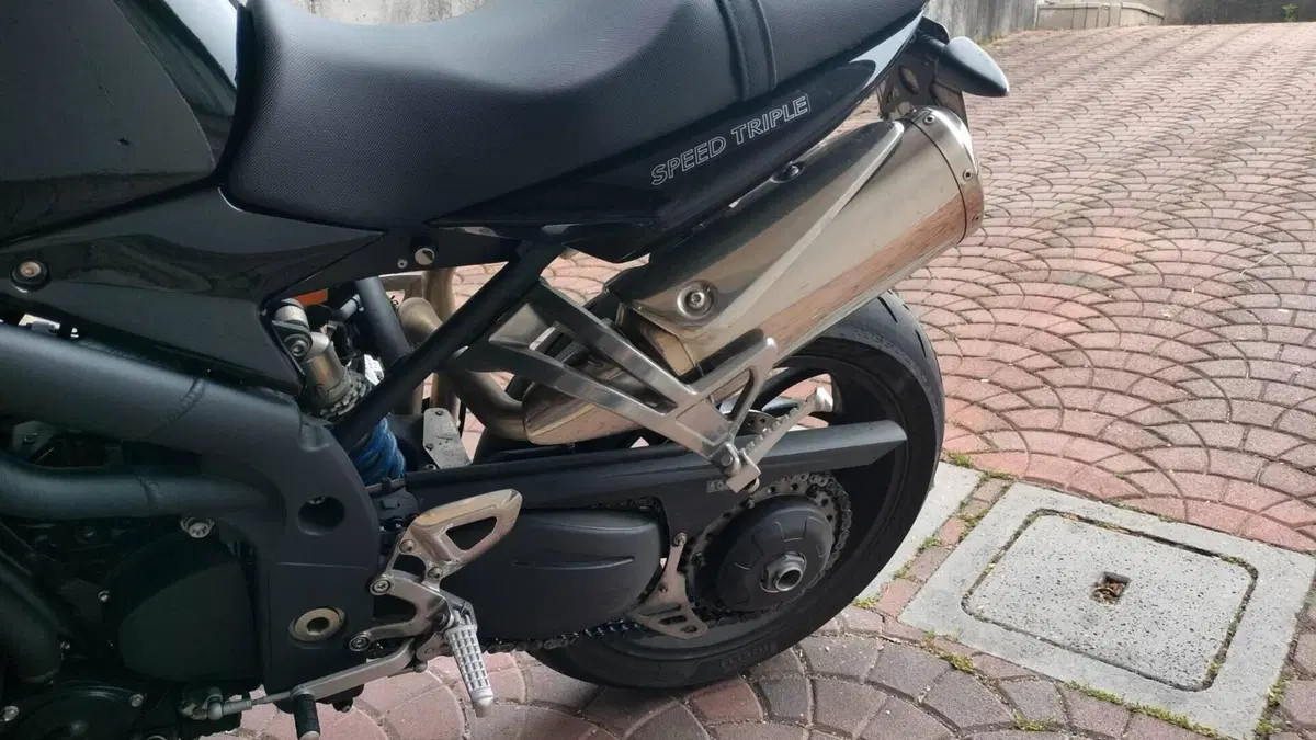 Triumph Speed Triple 1050 (2005 - 11)  (10)