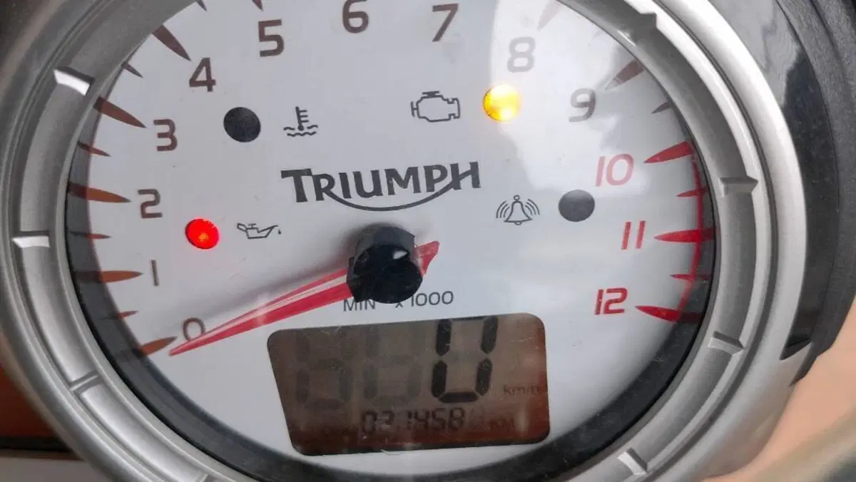 Triumph Speed Triple 1050 (2005 - 11)  (13)