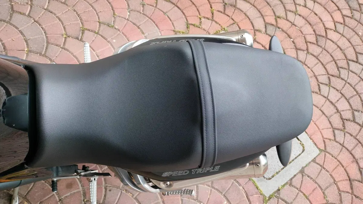 Triumph Speed Triple 1050 (2005 - 11)  (15)