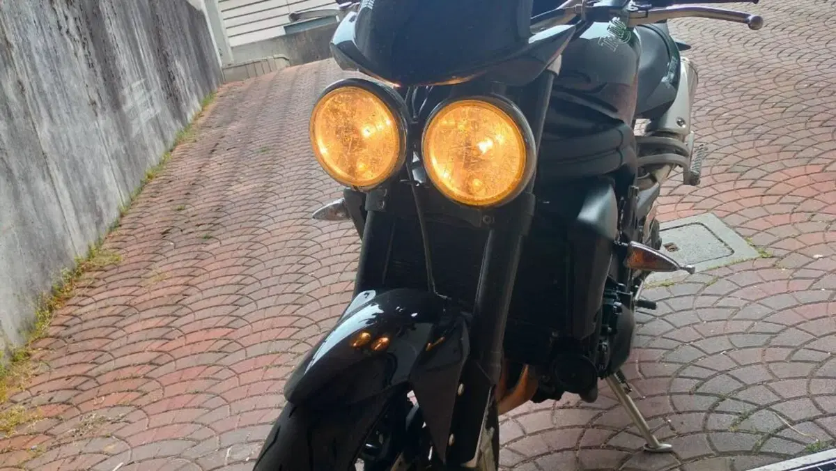Triumph Speed Triple 1050 (2005 - 11)  (17)