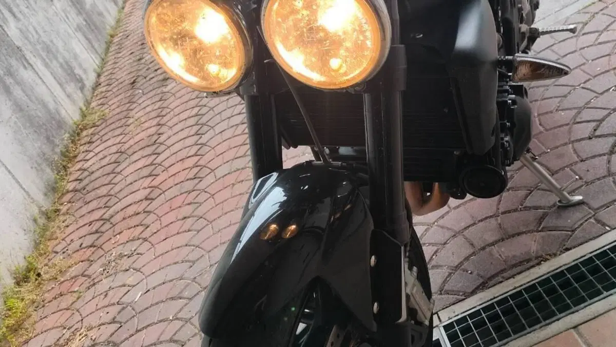 Triumph Speed Triple 1050 (2005 - 11)  (18)