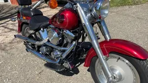 Harley-Davidson   (2)