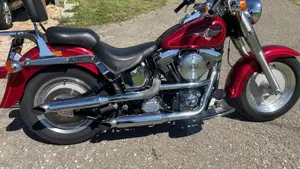 Harley-Davidson   (3)