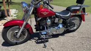 Harley-Davidson   (7)