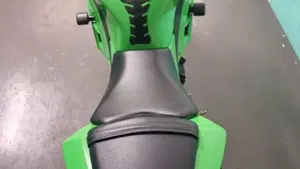 Kawasaki Ninja 300 ABS (2012 - 16)  (3)