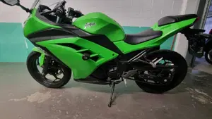 Kawasaki Ninja 300 ABS (2012 - 16)  (5)