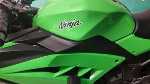 Kawasaki Ninja 300 ABS (2012 - 16)  (6)