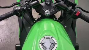 Kawasaki Ninja 300 ABS (2012 - 16)  (7)