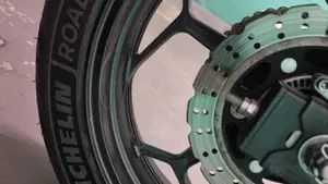 Kawasaki Ninja 300 ABS (2012 - 16)  (9)