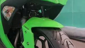 Kawasaki Ninja 300 ABS (2012 - 16)  (11)